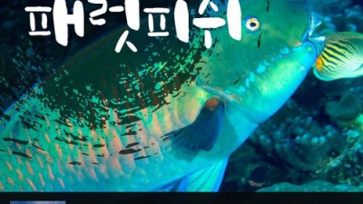 bsw생선 솔직 후기! 🐟 놓치면 후회할 꿀팁 대방출!