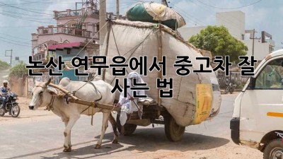 논산 연무읍에서 중고차 잘 사는 법?