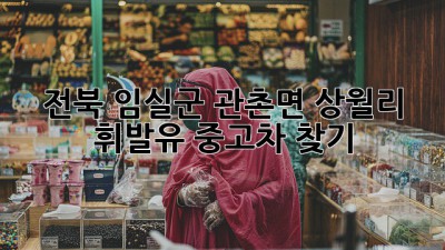 전북 임실군 관촌면 상월리 휘발유 중고차 찾기